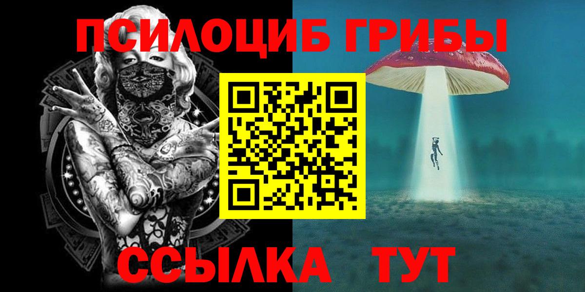 Каспийск  Галлюциногенные грибы мицелий  Вход с VPN 